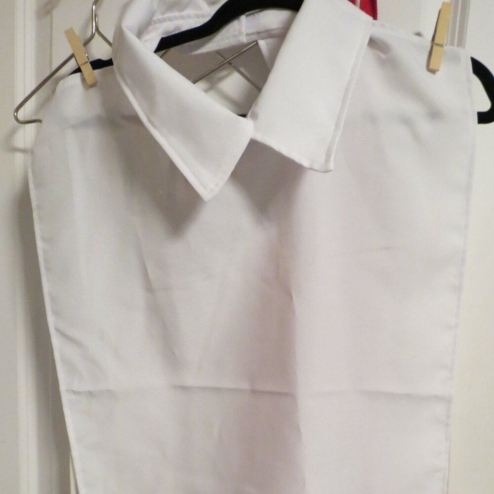 22 w Crisp White Collard Tie Back Dickie Unbranded